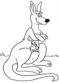 Fisă de colorat cu Animale canguri de colorat p10