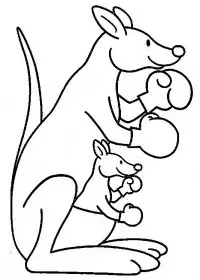 Fisă de colorat cu Animale canguri de colorat p13