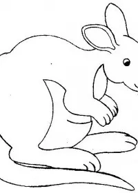 Fisă de colorat cu Animale canguri de colorat p14