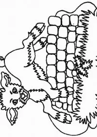 Fisă de colorat cu Animale capre de colorat p01