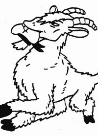 Fisă de colorat cu Animale capre de colorat p04