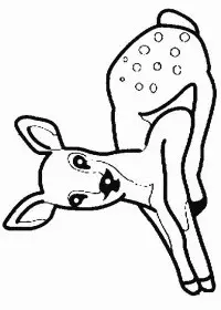 Fisă de colorat cu Animale caprioare de colorat p01