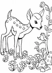 Fisă de colorat cu Animale caprioare de colorat p03