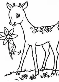 Fisă de colorat cu Animale caprioare de colorat p06