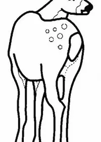 Fisă de colorat cu Animale caprioare de colorat p16