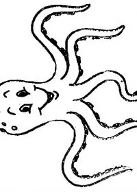 Fisă de colorat cu Animale caracatite de colorat p07