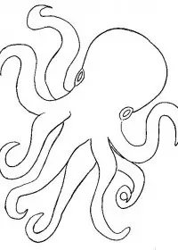 Fisă de colorat cu Animale caracatite de colorat p11