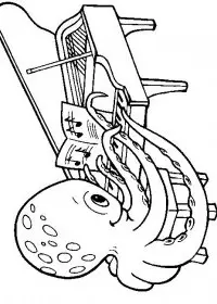 Fisă de colorat cu Animale caracatite de colorat p13