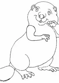 Fisă de colorat cu Animale castori de colorat p04