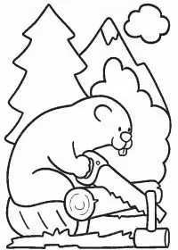 Fisă de colorat cu Animale castori de colorat p07