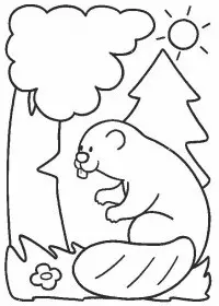 Fisă de colorat cu Animale castori de colorat p08