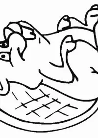 Fisă de colorat cu Animale castori de colorat p09