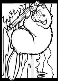 Fisă de colorat cu Animale castori de colorat p15