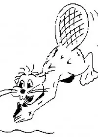 Fisă de colorat cu Animale castori de colorat p16