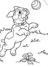 Fisă de colorat cu Animale catelusi de colorat p02