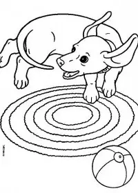 Fisă de colorat cu Animale catelusi de colorat p03