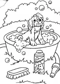 Fisă de colorat cu Animale catelusi de colorat p06