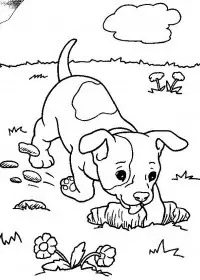 Fisă de colorat cu Animale catelusi de colorat p07