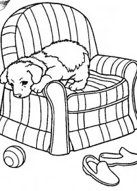 Fisă de colorat cu Animale catelusi de colorat p09