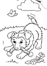 Fisă de colorat cu Animale catelusi de colorat p12