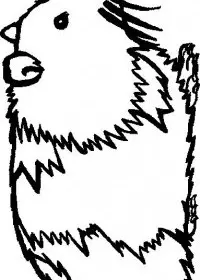Fisă de colorat cu Animale cobai de colorat p02