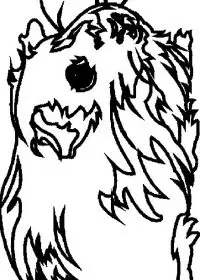 Fisă de colorat cu Animale cobai de colorat p03