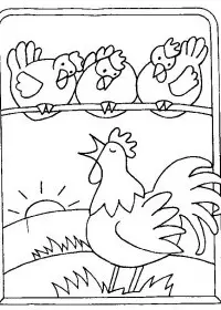 Fisă de colorat cu Animale cocosi de colorat p20