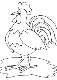 Fisă de colorat cu Animale cocosi de colorat p21