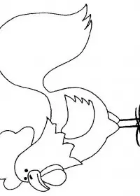 Fisă de colorat cu Animale cocosi de colorat p22