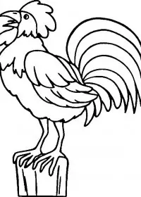 Fisă de colorat cu Animale cocosi de colorat p25