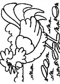 Fisă de colorat cu Animale cocosi de colorat p26