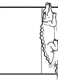 Fisă de colorat cu Animale crocodili de colorat p15