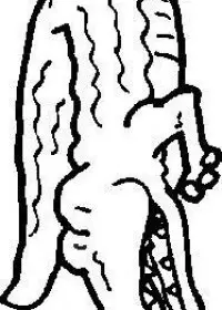 Fisă de colorat cu Animale crocodili de colorat p16