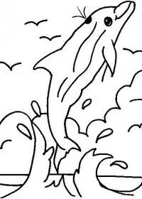 Fisă de colorat cu Animale delfini de colorat p03