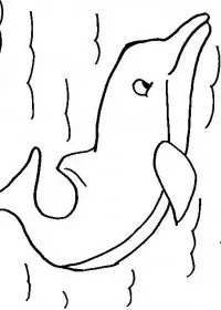 Fisă de colorat cu Animale delfini de colorat p04