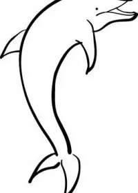Fisă de colorat cu Animale delfini de colorat p06