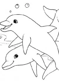 Fisă de colorat cu Animale delfini de colorat p09