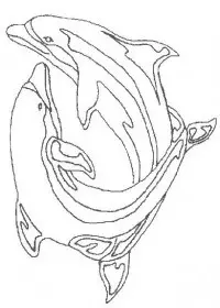 Fisă de colorat cu Animale delfini de colorat p12
