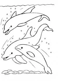 Fisă de colorat cu Animale delfini de colorat p13