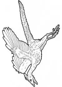 Fisă de colorat cu Animale dinozauri de colorat p03