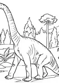 Fisă de colorat cu Animale dinozauri de colorat p04