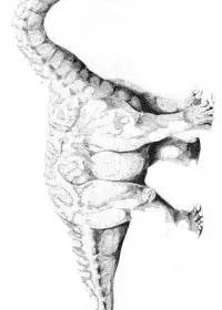 Fisă de colorat cu Animale dinozauri de colorat p10