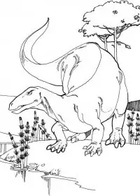 Fisă de colorat cu Animale dinozauri de colorat p11