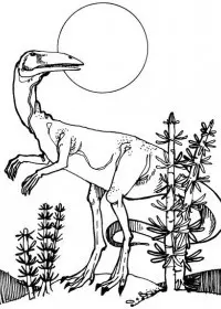 Fisă de colorat cu Animale dinozauri de colorat p12