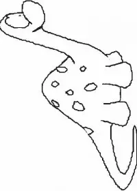 Fisă de colorat cu Animale dinozauri de colorat p39