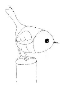 Fisă de colorat cu Animale haioase de colorat p12