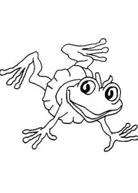 Fisă de colorat cu Animale haioase de colorat p14