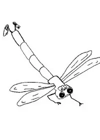 Fisă de colorat cu Animale haioase de colorat p32