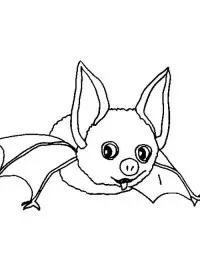 Fisă de colorat cu Animale haioase de colorat p33