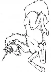 Fisă de colorat cu Animale unicorni de colorat p07